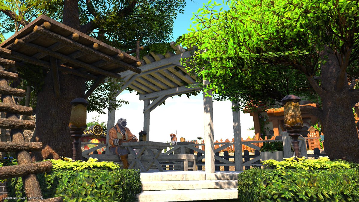 Rexs-Decker tweet media