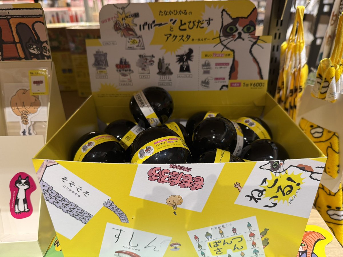 TSUTAYA BOOKSTORE 亀戸 tweet media