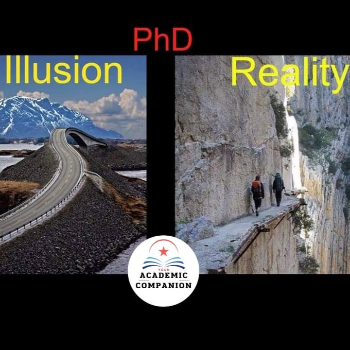 career_re's tweet photo. #AcademicTwitter😂#phdvoice #PhDlife https://t.co/C5xa1xI532
