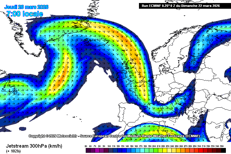 Àlex Van der Laan tweet media