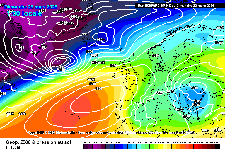 Àlex Van der Laan tweet media