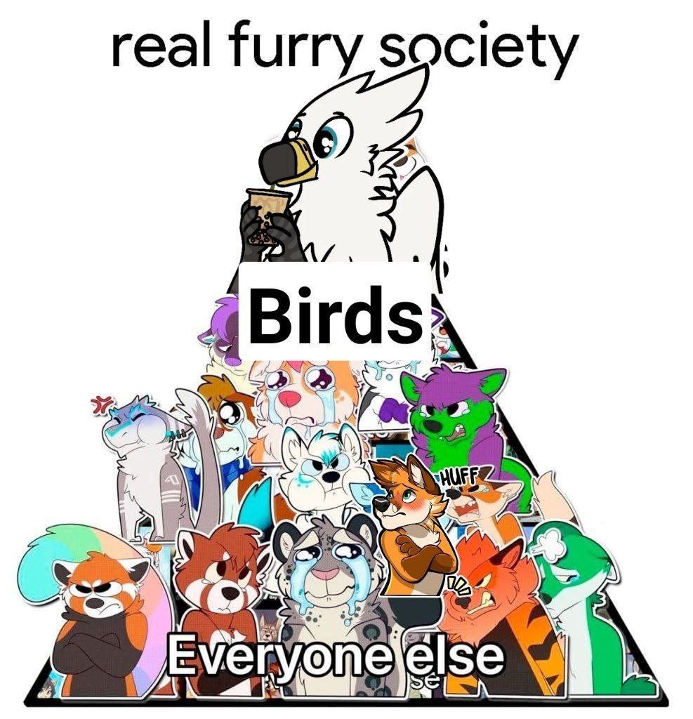 Emu Secundus 🔜 Fur The More tweet media