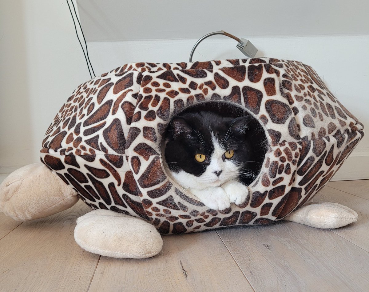 🌱LoezzB 🐾 tweet media