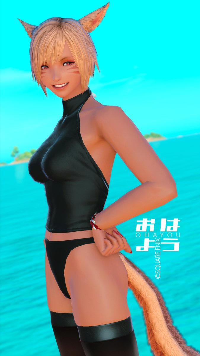 🚄😽しろねことれいん🐱🚄 tweet media