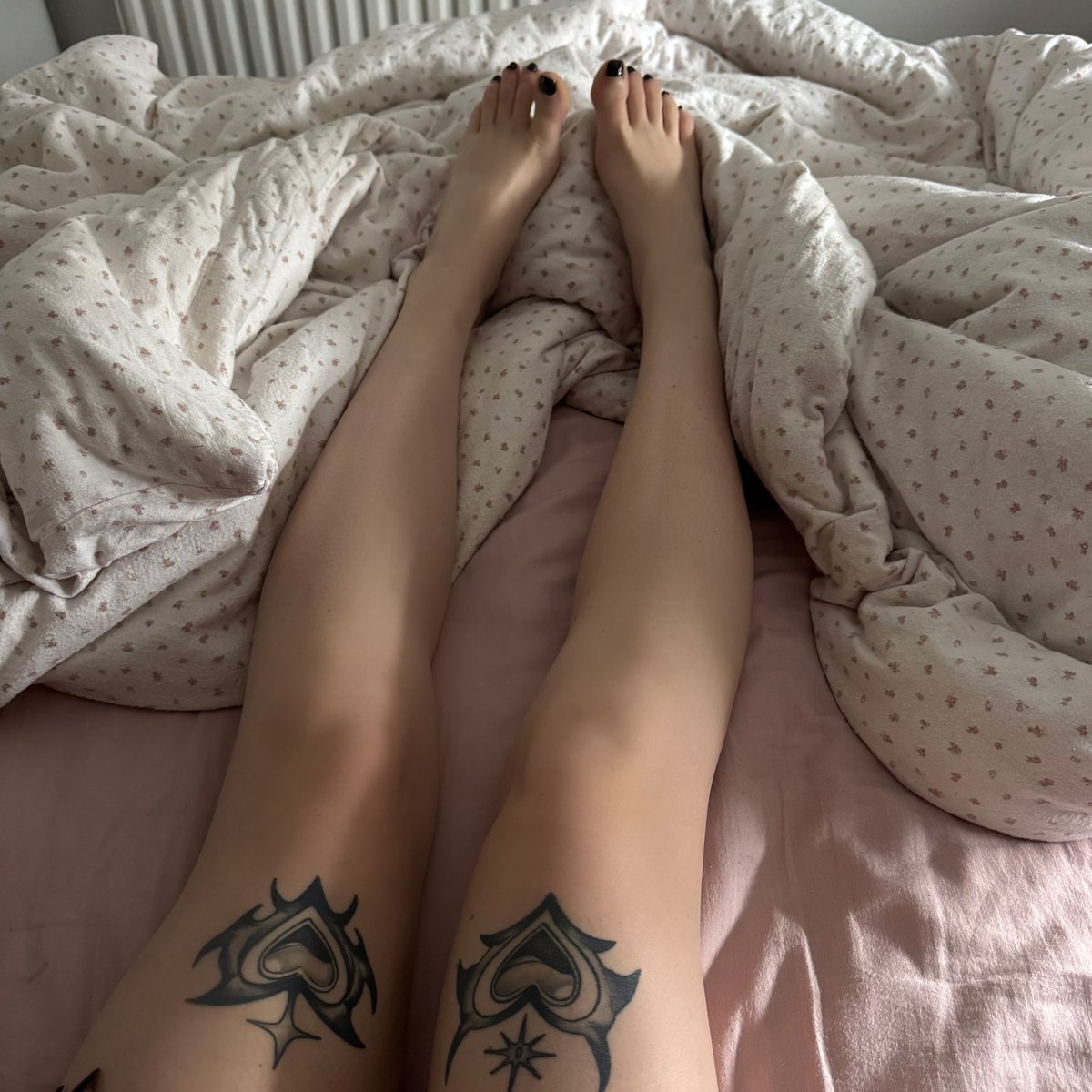 ꨄ MISS SILVERS ꨄ tweet media