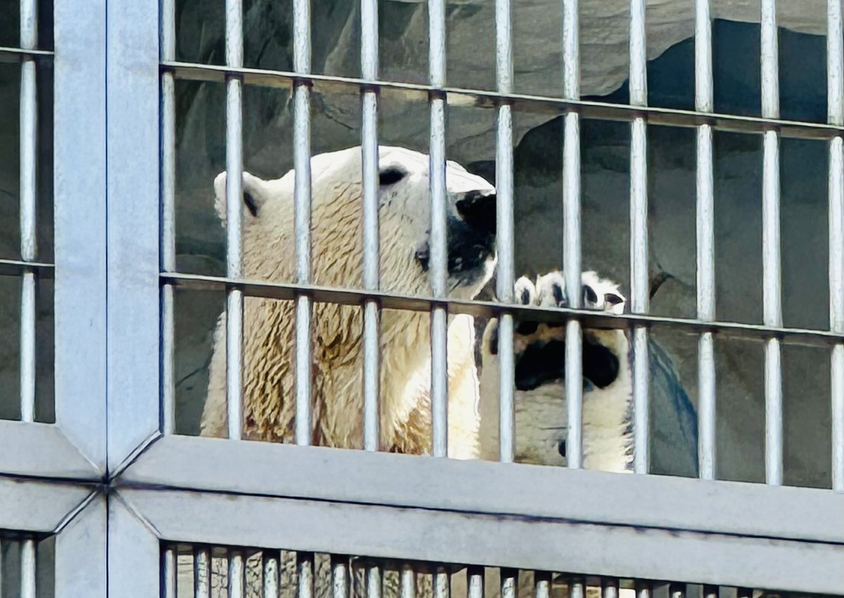 はっさく tweet media