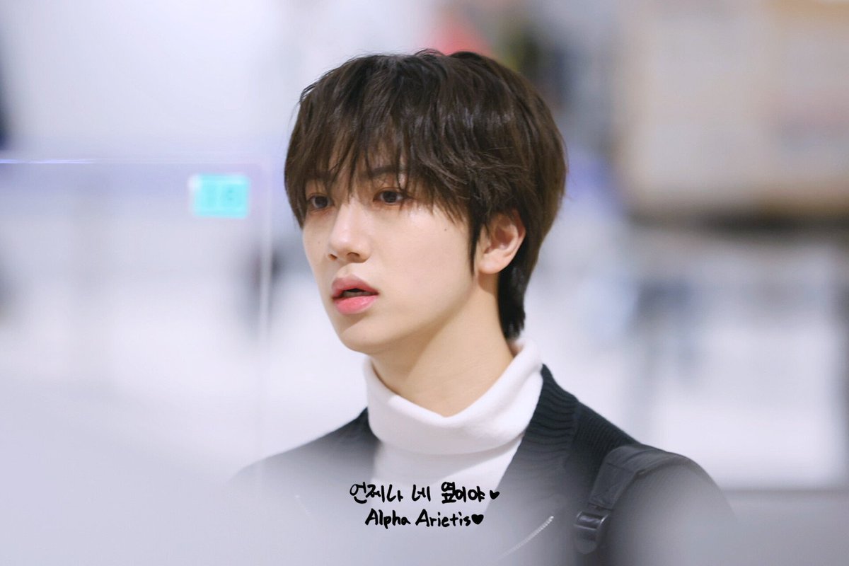 𝗔𝗟𝗣𝗛𝗔 𝗔𝗥𝗜𝗘𝗧𝗜𝗦 tweet media