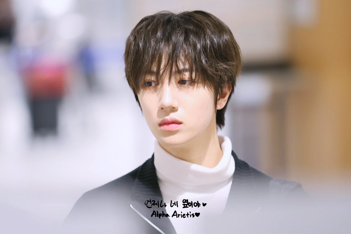 𝗔𝗟𝗣𝗛𝗔 𝗔𝗥𝗜𝗘𝗧𝗜𝗦 tweet media