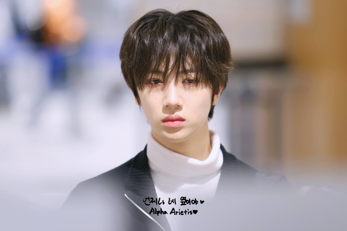 𝗔𝗟𝗣𝗛𝗔 𝗔𝗥𝗜𝗘𝗧𝗜𝗦 tweet media