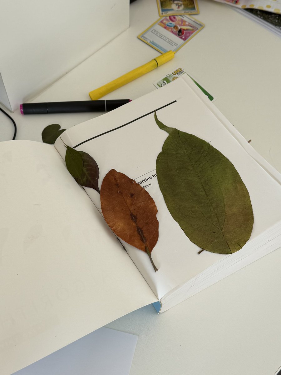 Frederik Jacques tweet media