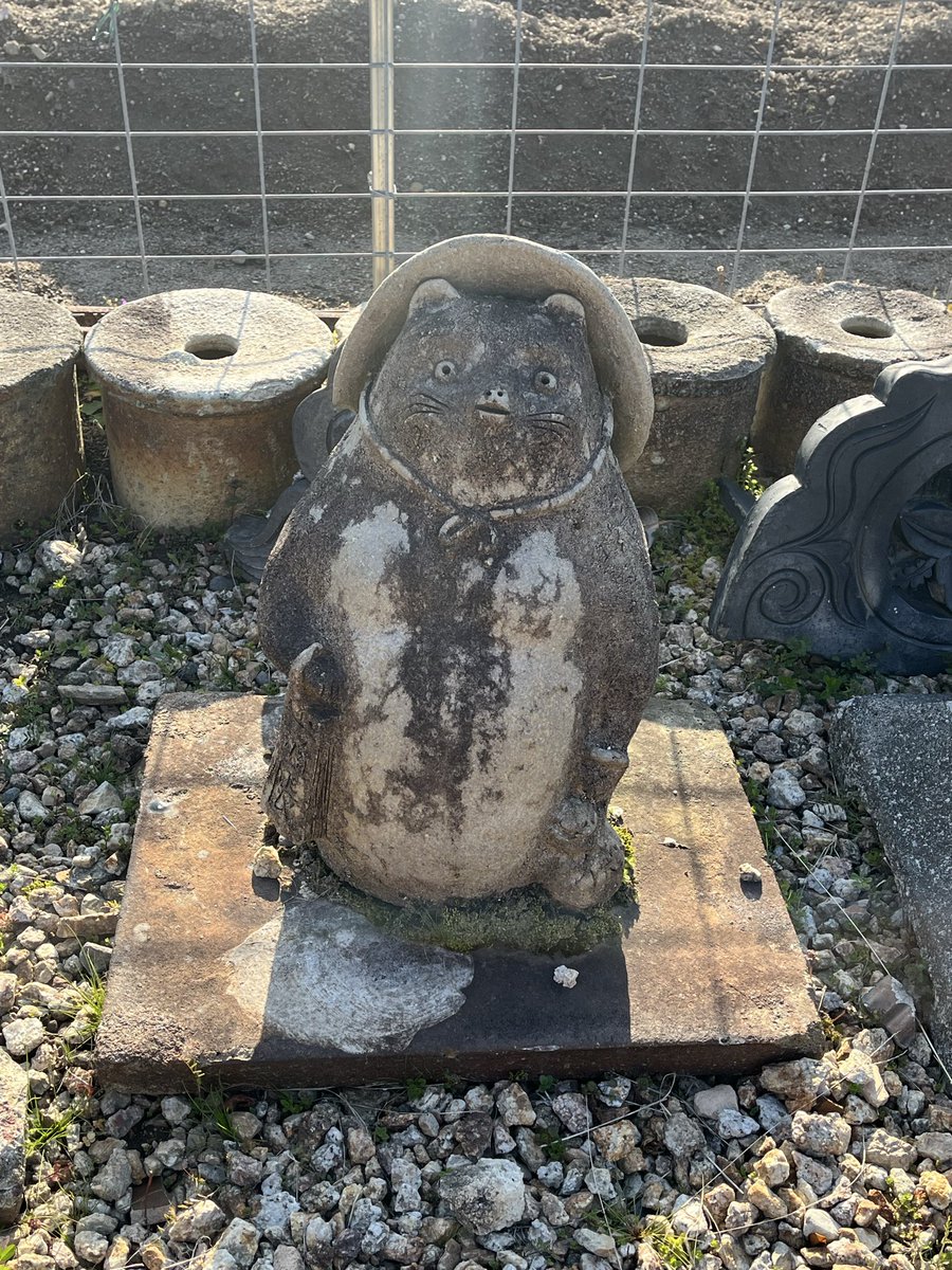 はるたぬ tweet media