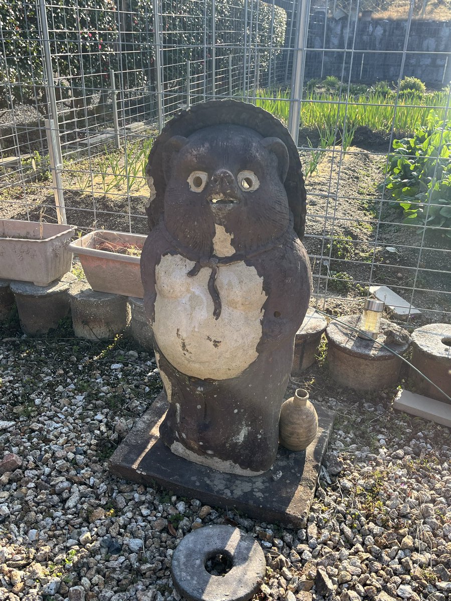 はるたぬ tweet media