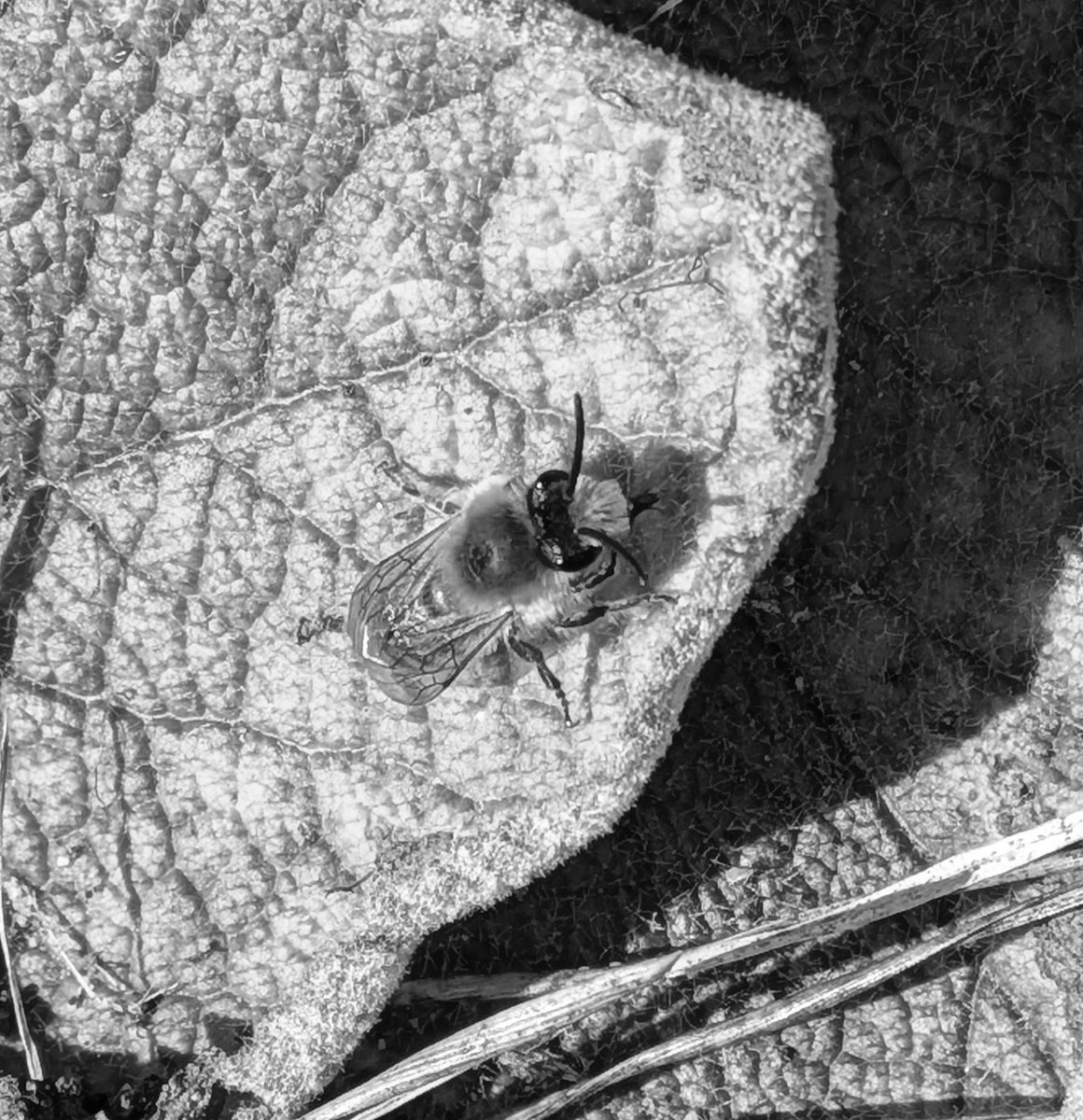 propmachine tweet media