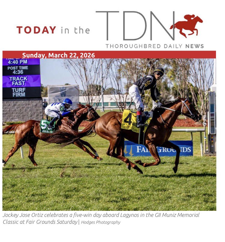 Chad Schumer tweet media