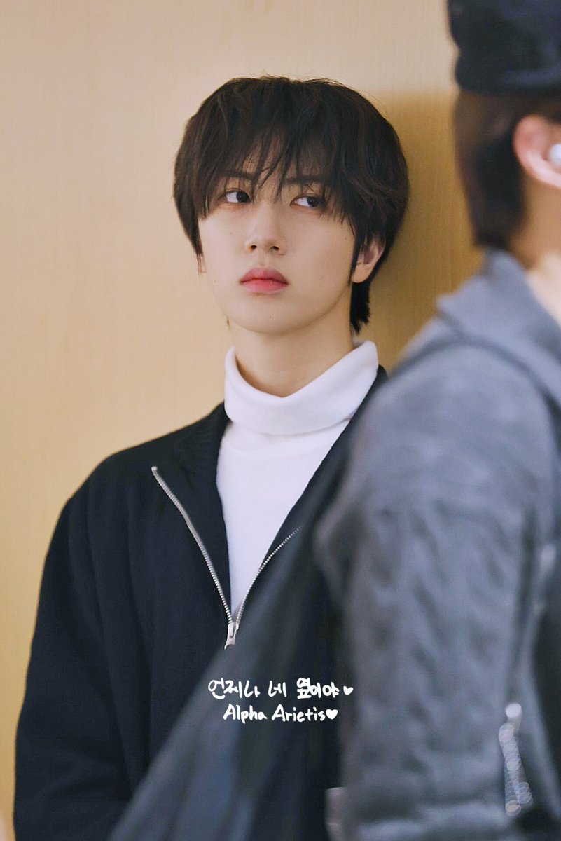 𝗔𝗟𝗣𝗛𝗔 𝗔𝗥𝗜𝗘𝗧𝗜𝗦 tweet media