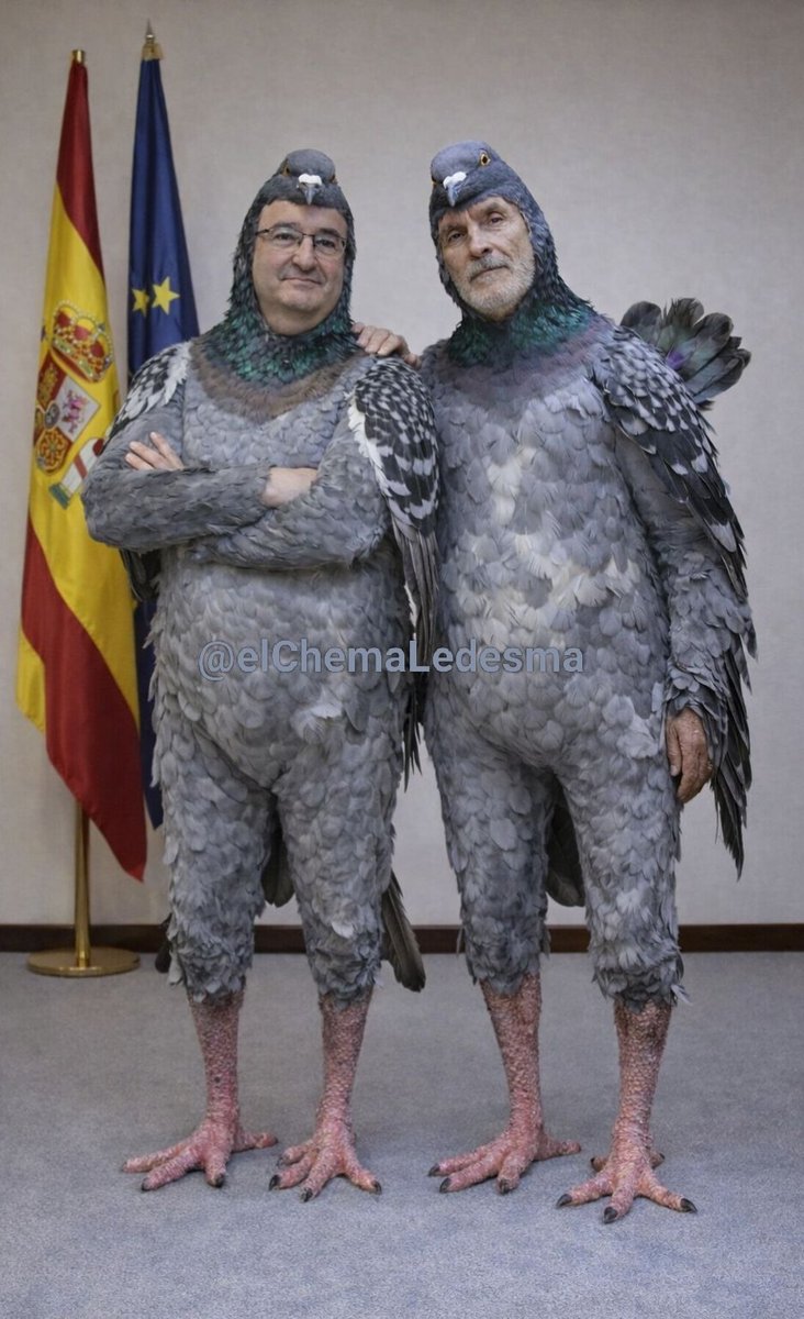 elChema Ledesma tweet media