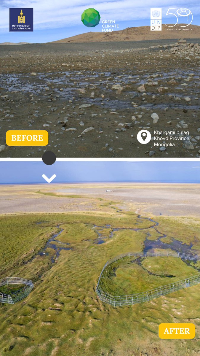 UNDPMongolia's tweet image. To naturally restore degraded springs and secure vital water sources for people, livestock &amp;amp; ecosystems, the @theGCF-funded ADAPT project has fenced and safeguarded 72 natural springs across Mongolia.

#WorldWaterDay
#BeforeAndAfter