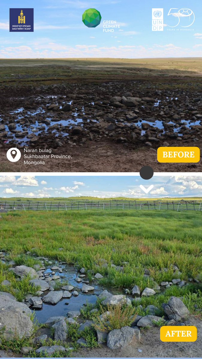 UNDPMongolia's tweet image. To naturally restore degraded springs and secure vital water sources for people, livestock &amp;amp; ecosystems, the @theGCF-funded ADAPT project has fenced and safeguarded 72 natural springs across Mongolia.

#WorldWaterDay
#BeforeAndAfter