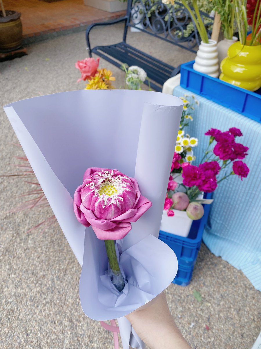 fluffii ☁️ tweet media