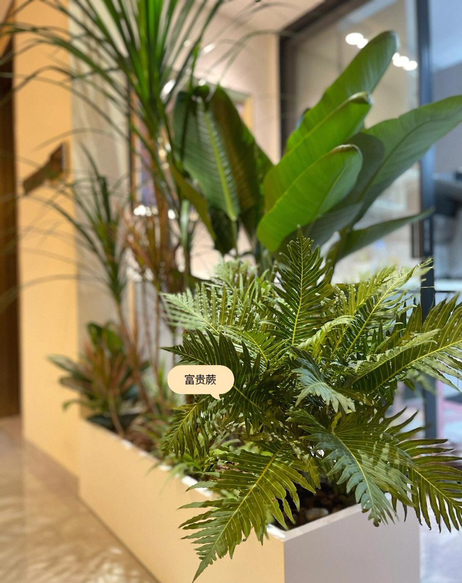 Lori Morgan tweet media