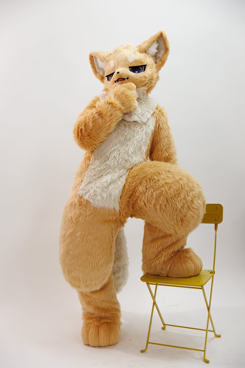 제토🔜퍼클 tweet media