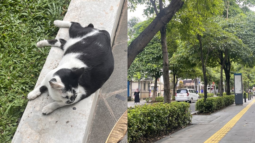 a confucian confusion tweet media