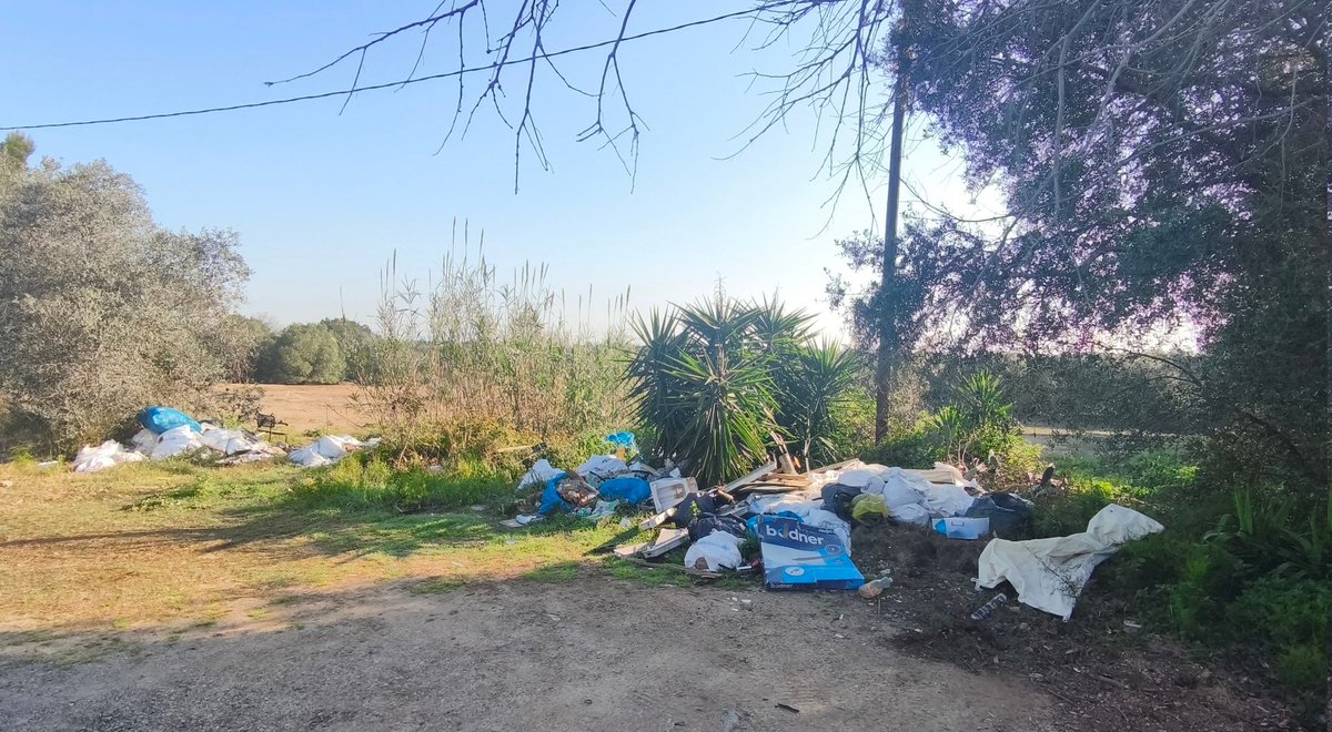 Albert Casanovas tweet media