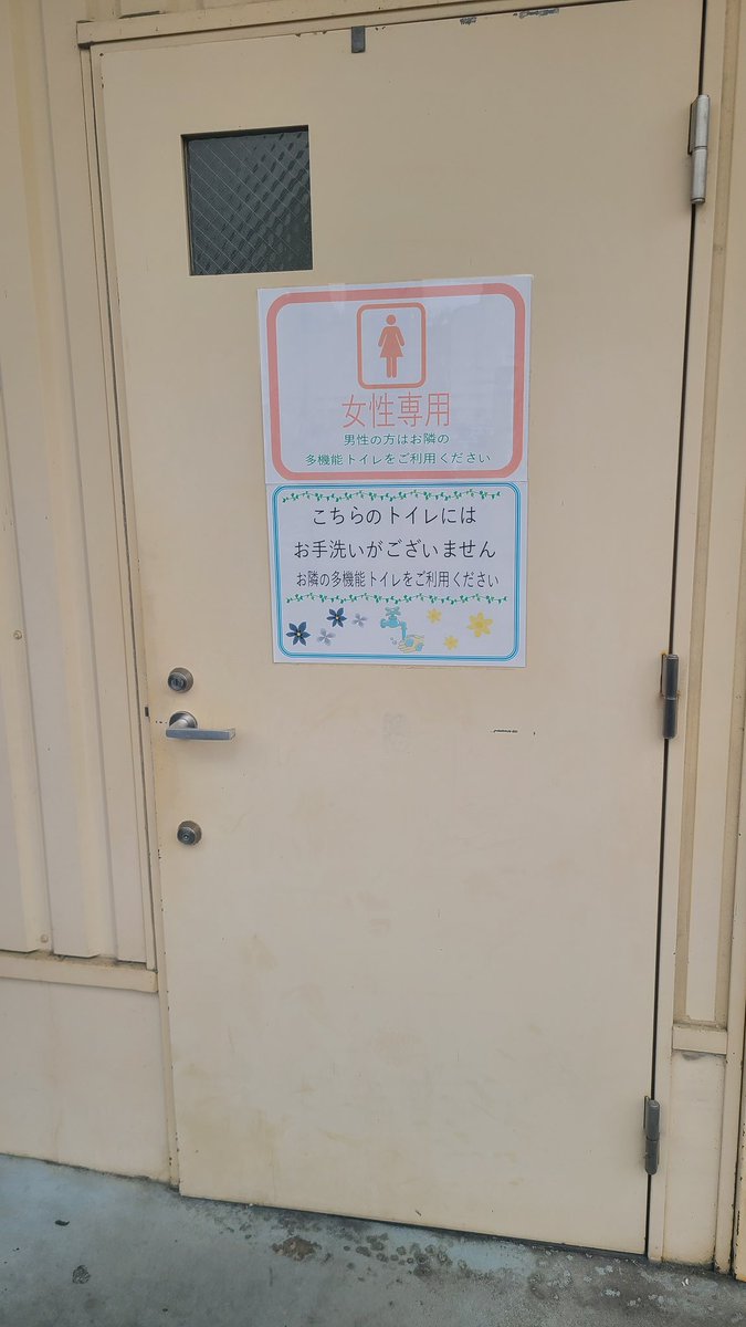 とら。 tweet media