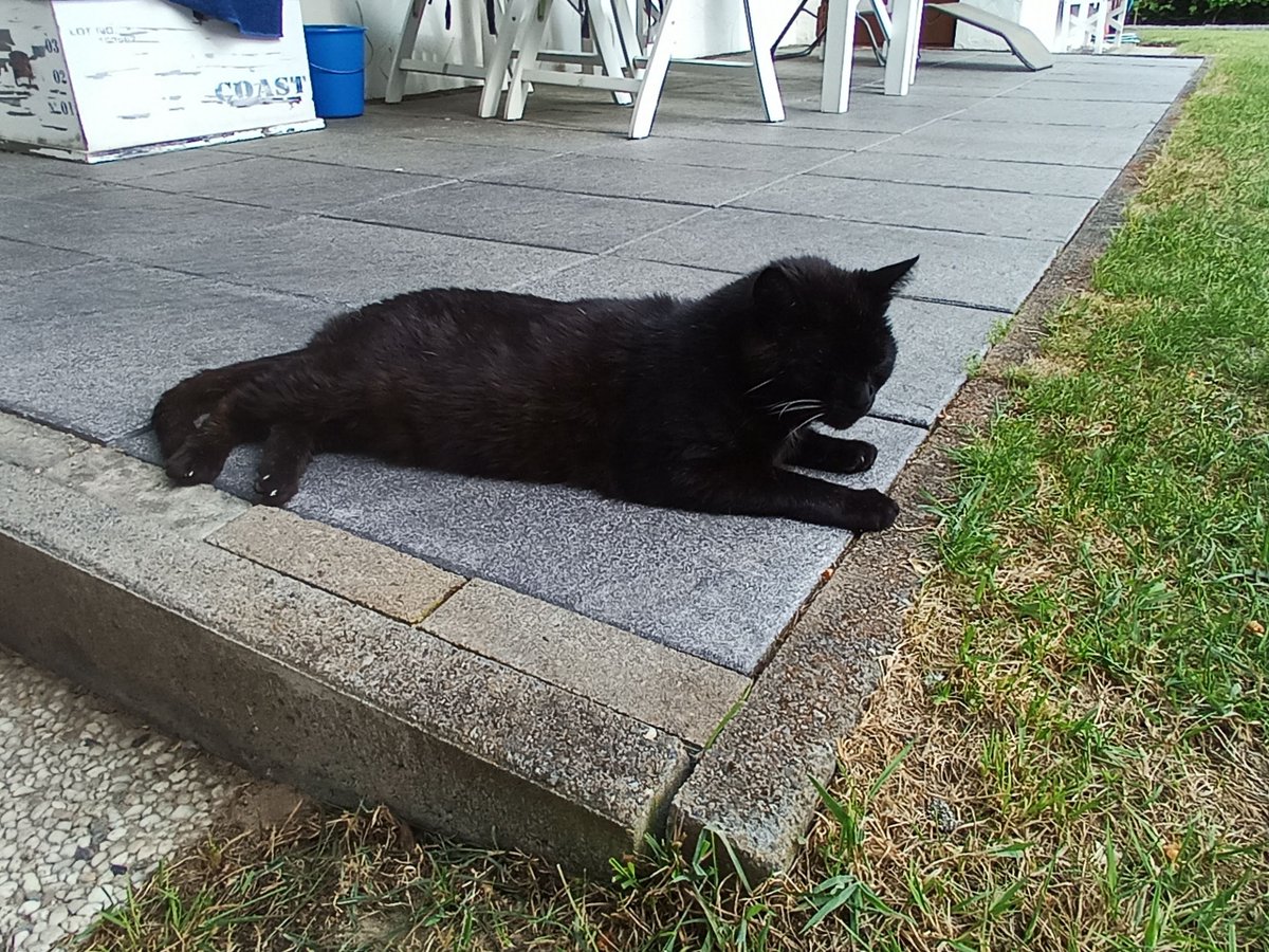 Axel Elmer, iBC tweet media