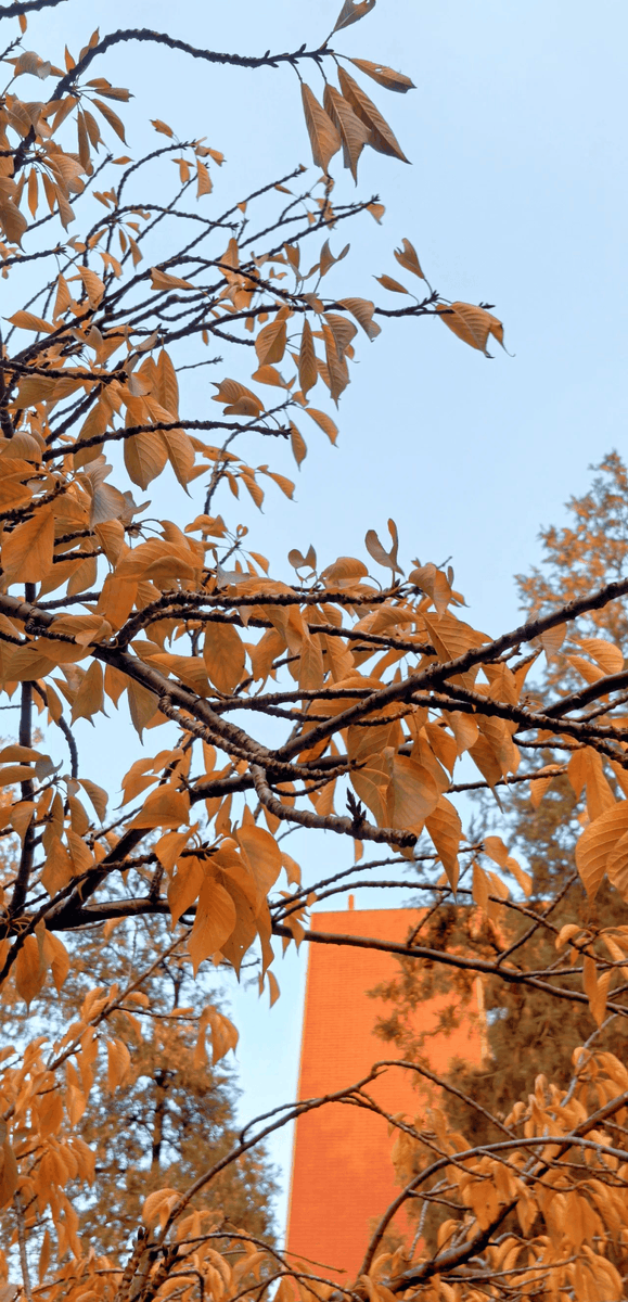 gary smith tweet media