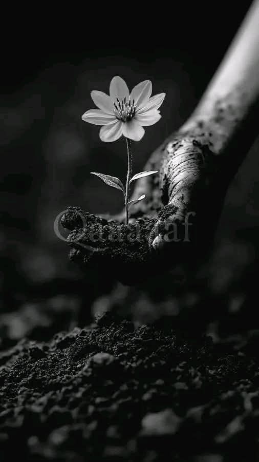 خاموش مان tweet media