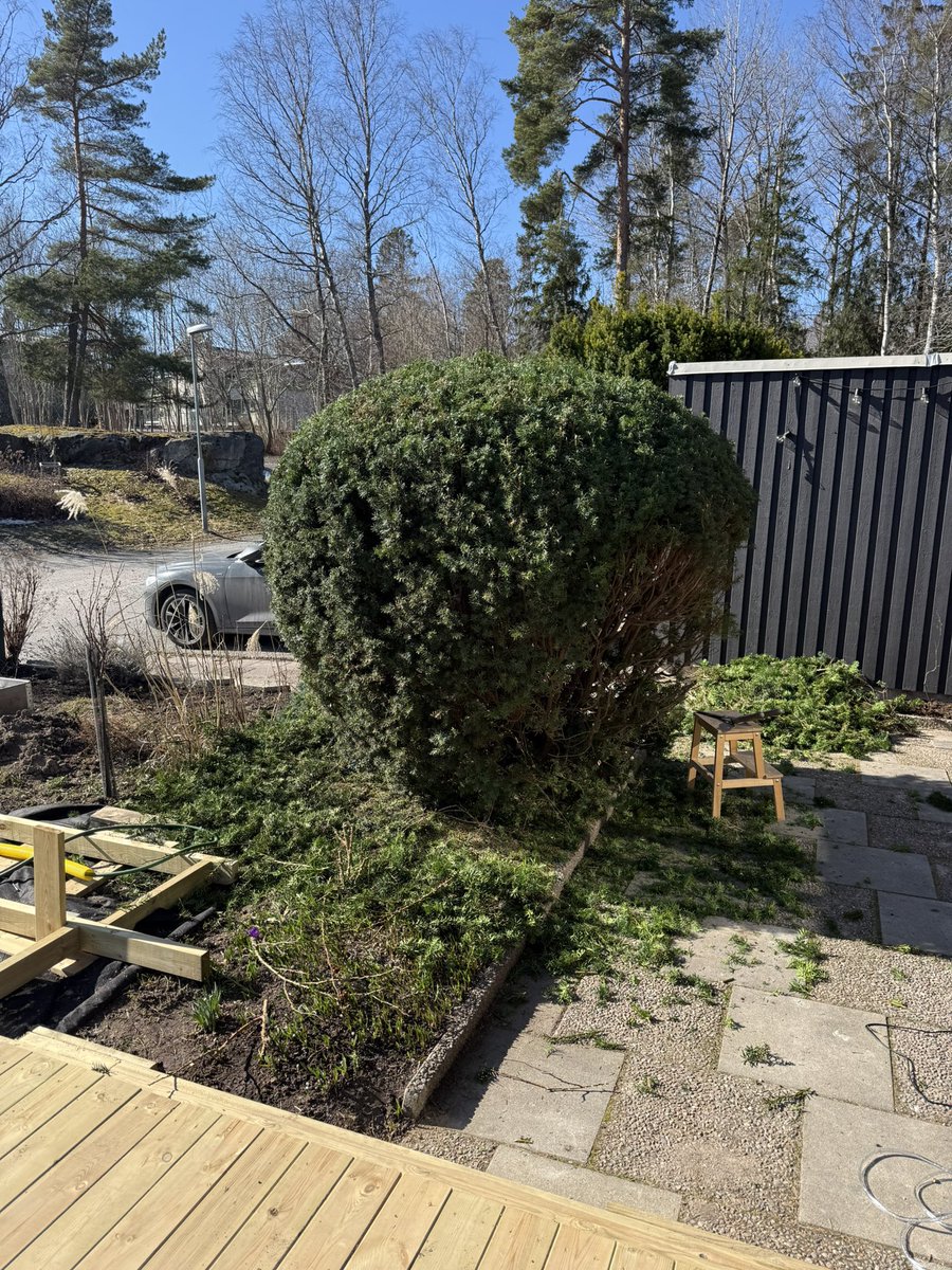 🇸🇪Robin Dubitzkij🇺🇦 tweet media