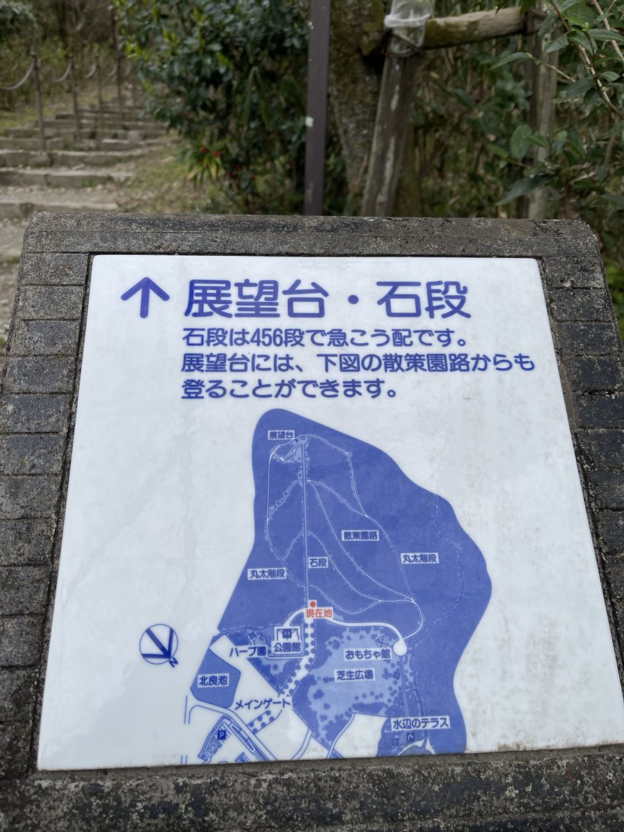 matihanak's tweet photo. 今日のハッピー🍓.•*¨*•.¸¸
 初めての🍓狩り  
ふるさと公園でのんびり😊
石段456段登りきれた💦
#展望台石段456
#いちご狩り
#道の駅ふたかみパーク 
#ふたかみパーク https://t.co/yKpavFkK5T
