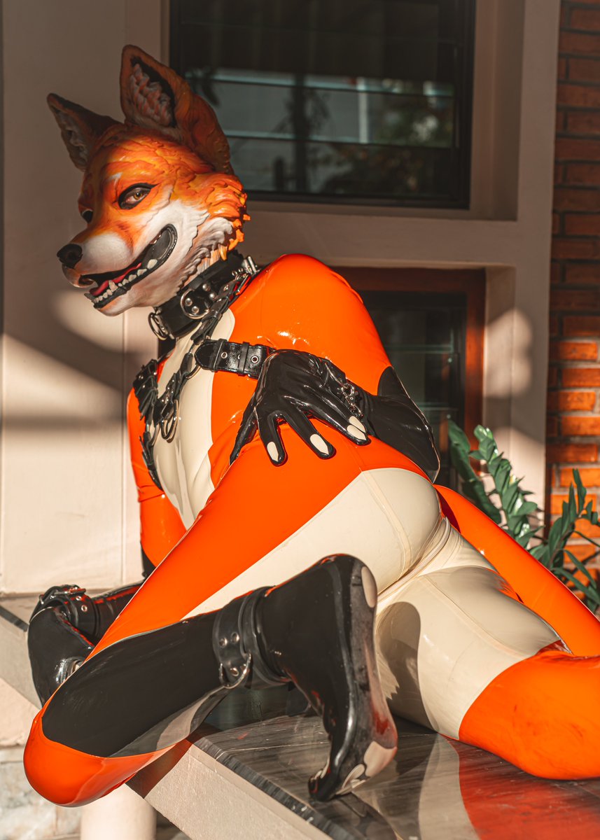 Lumi🦊 Latex Fox tweet media