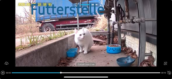 yolanda schultes tweet media