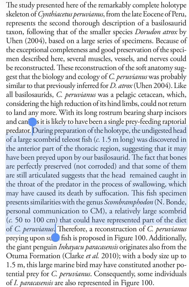 Ausarchosaur tweet media