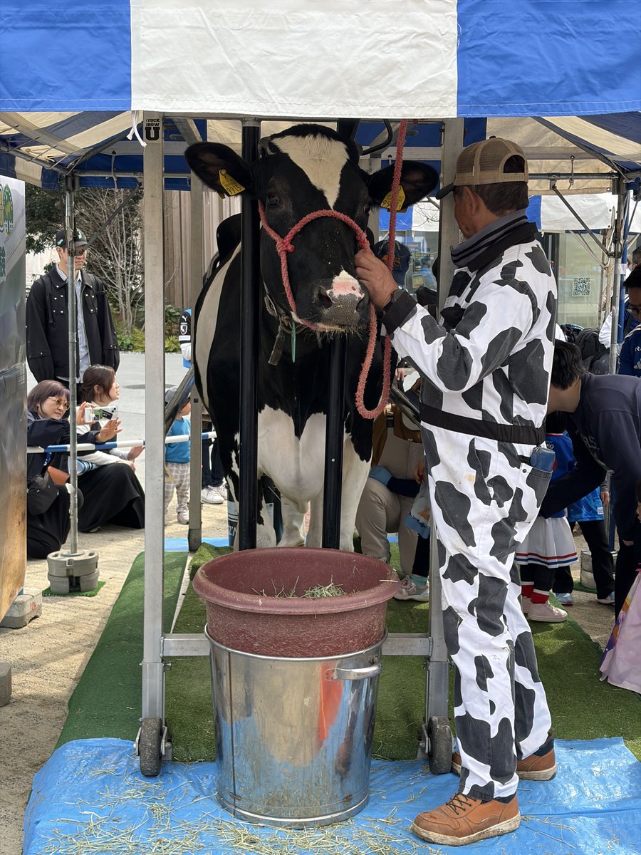 akoustam tweet media