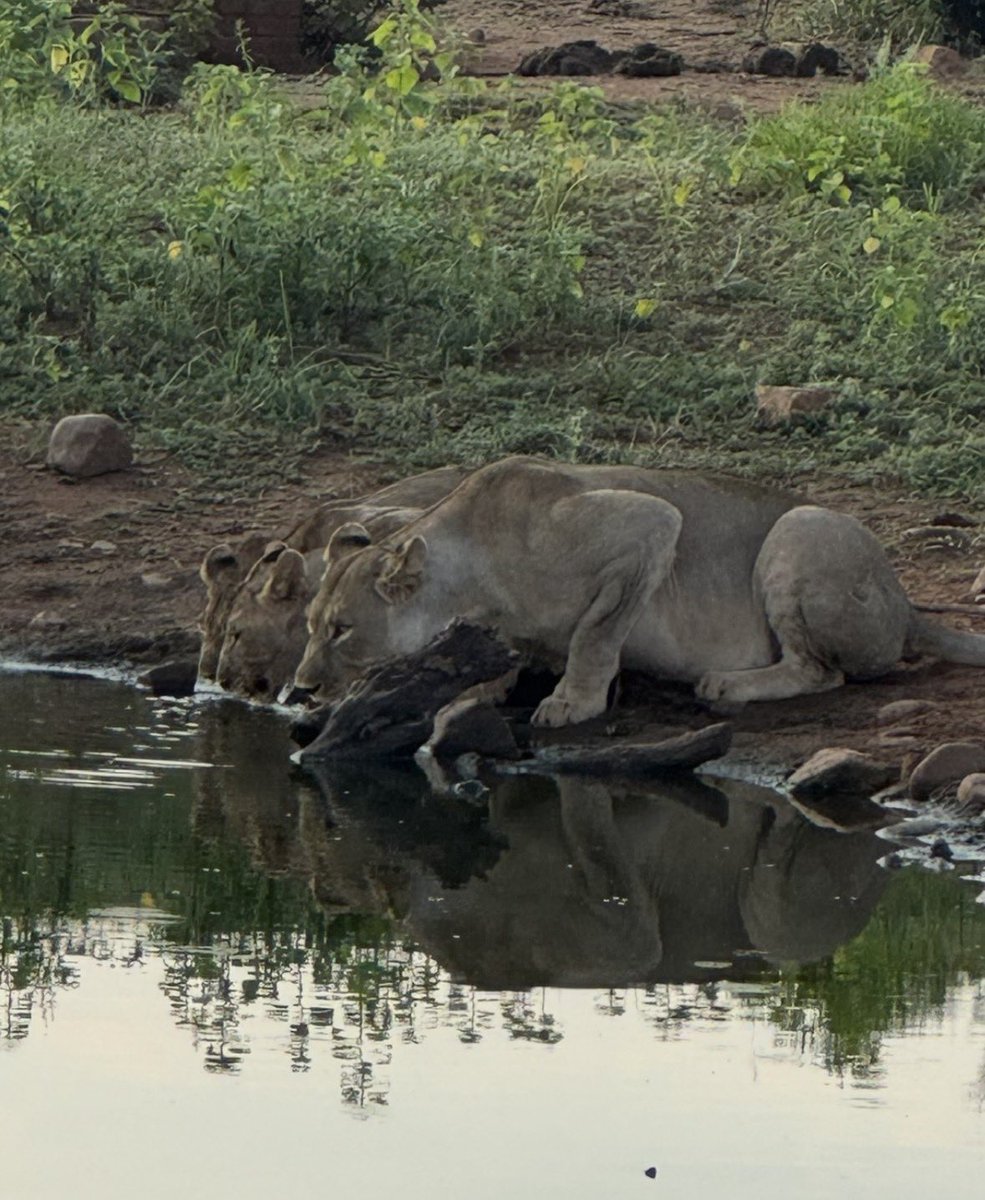 EMS Foundation tweet media