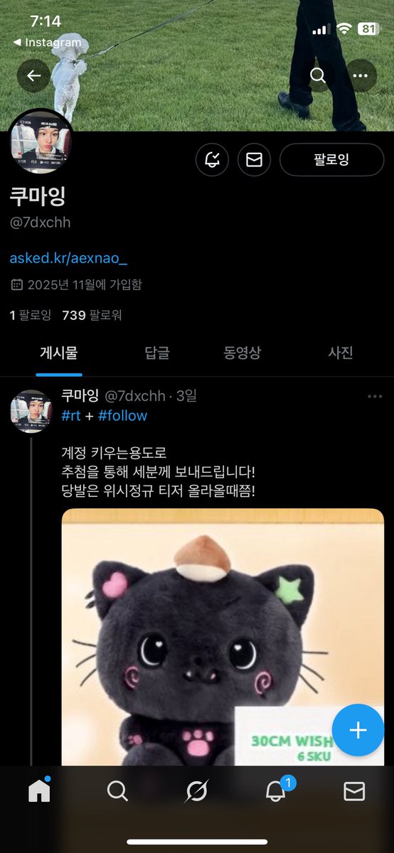사쿠야♥︎ tweet media