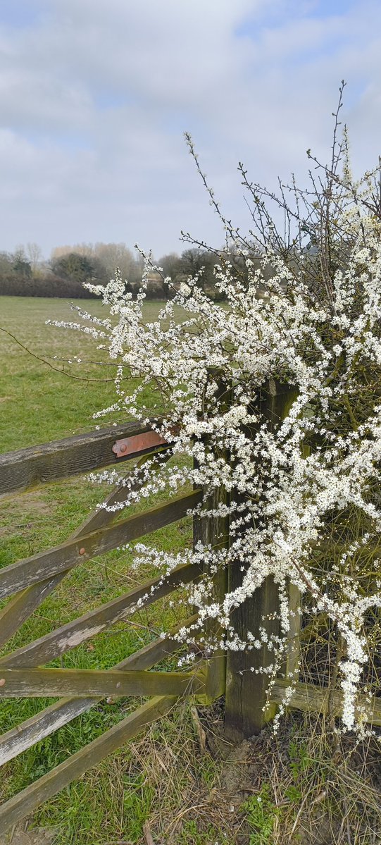 RoamingLiz tweet media