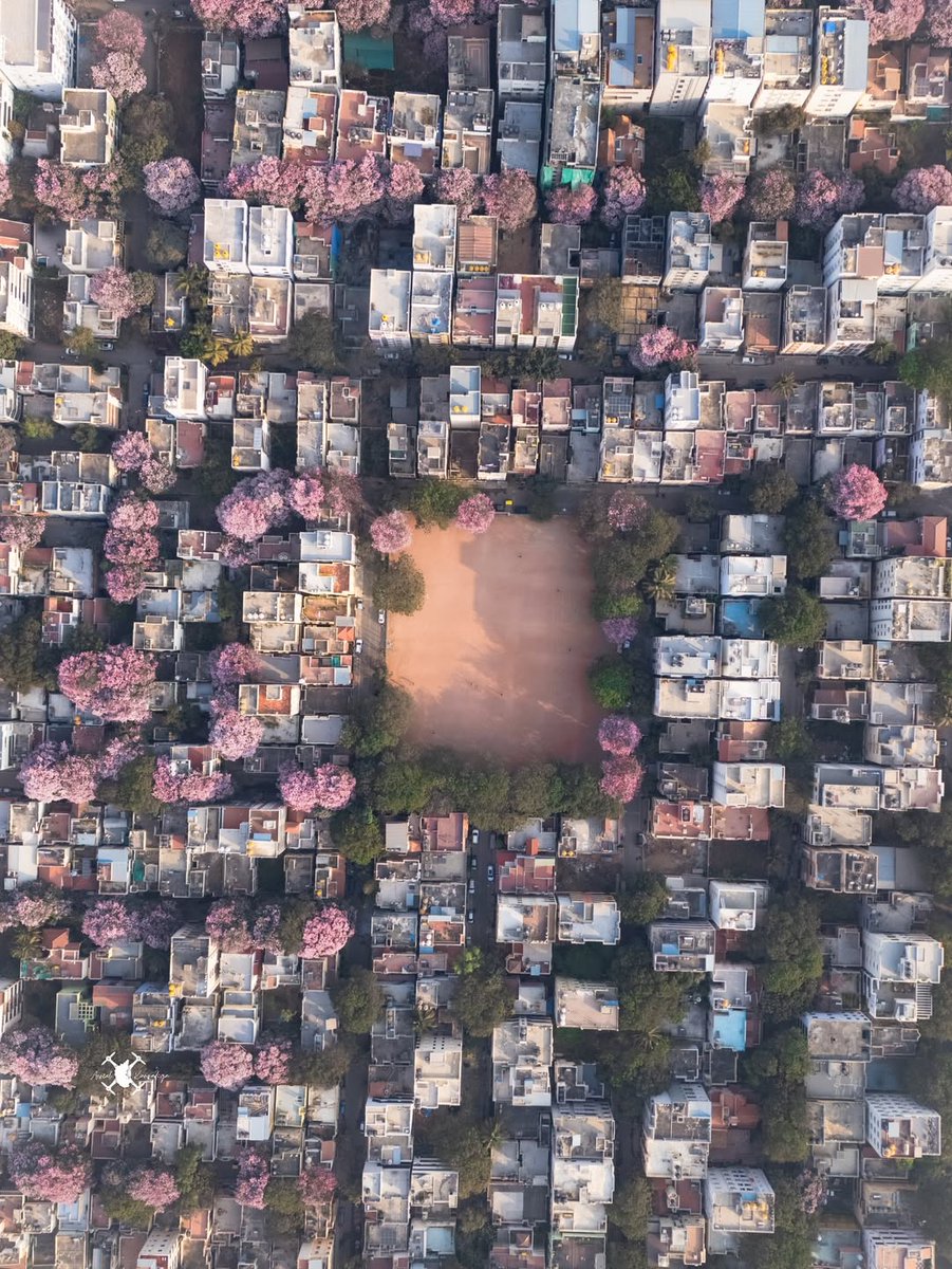 India Plus tweet media