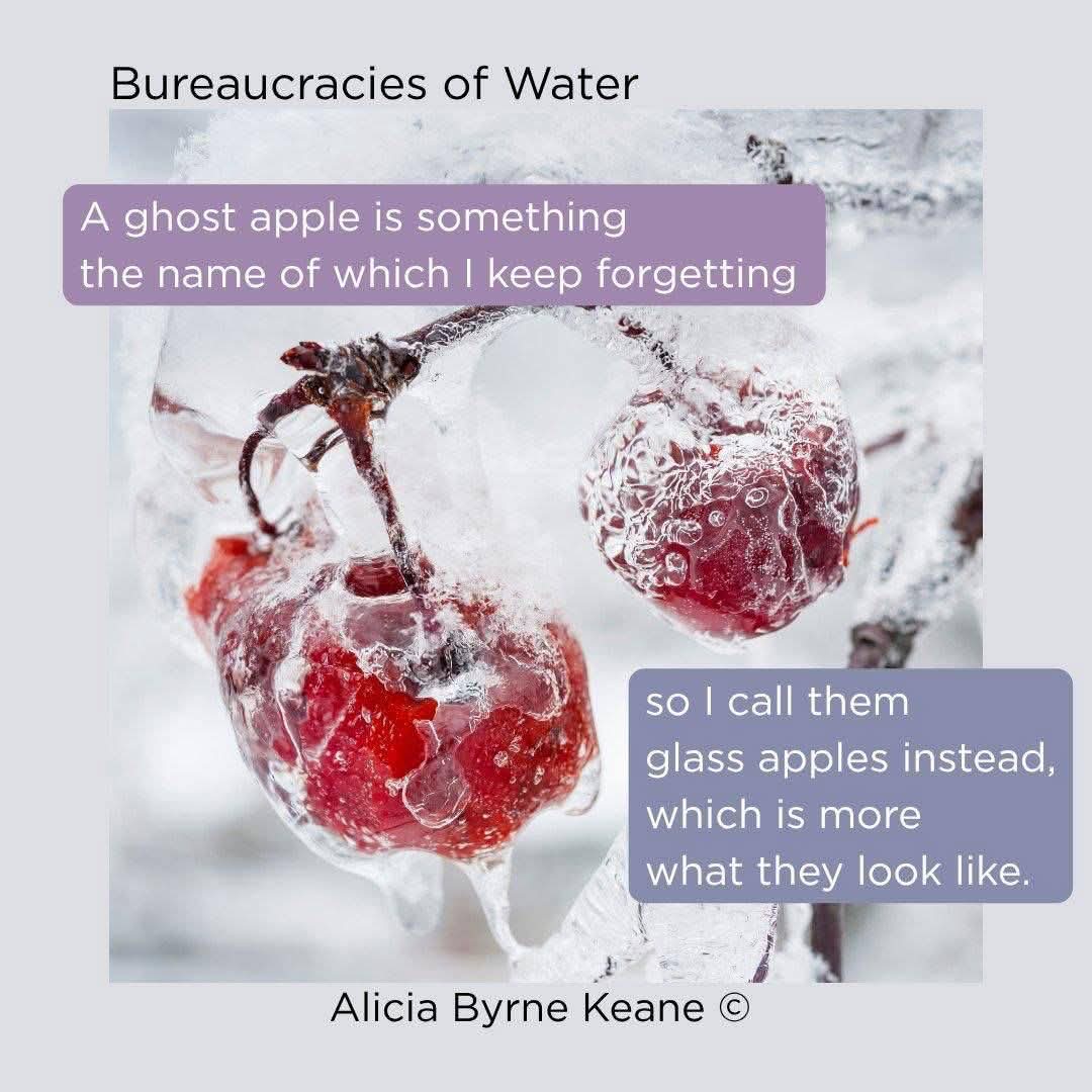 Ink Sweat & Tears tweet media