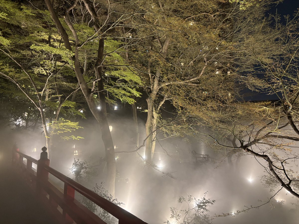 文京区の雲海