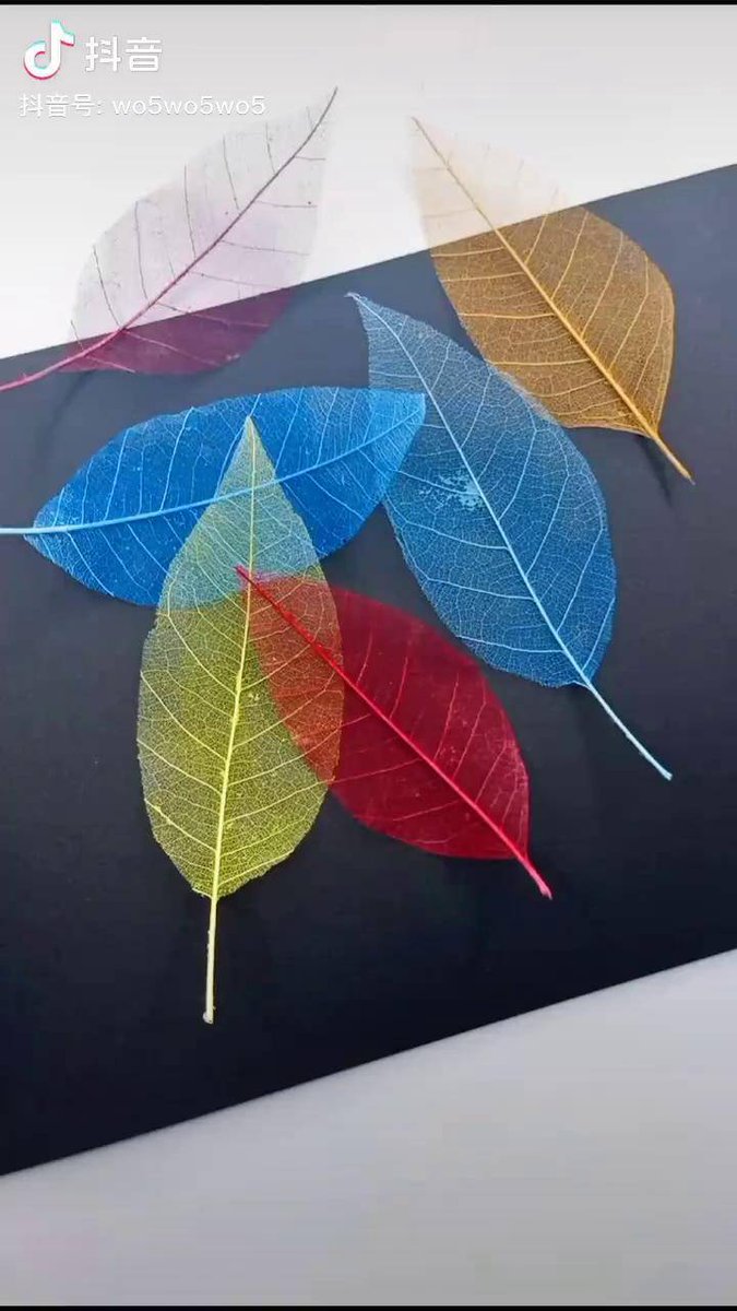 Princess Pouty tweet media