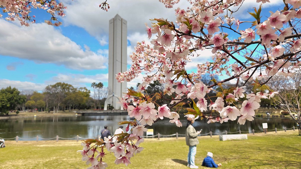 みるタンく tweet media