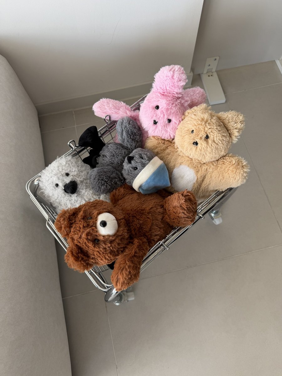 호즈미 tweet media