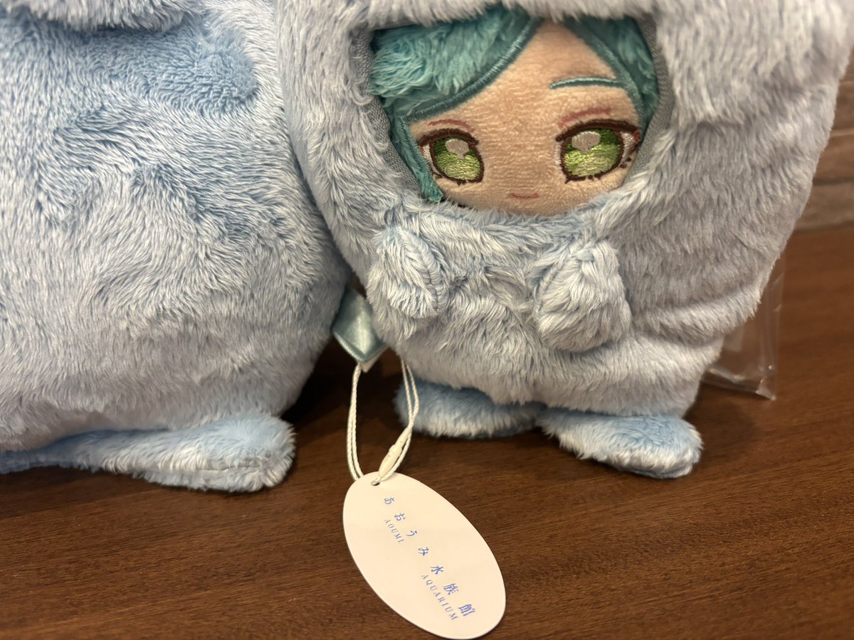 かなてぃぬいぐるみ、あおうみ水族館のタグがついており絶対に捨てられません　いつぬいの奏汰も捨ててほしくなさそう