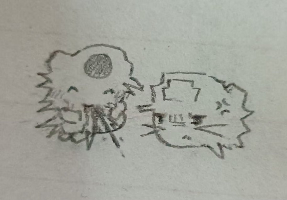 absolute0 tweet media