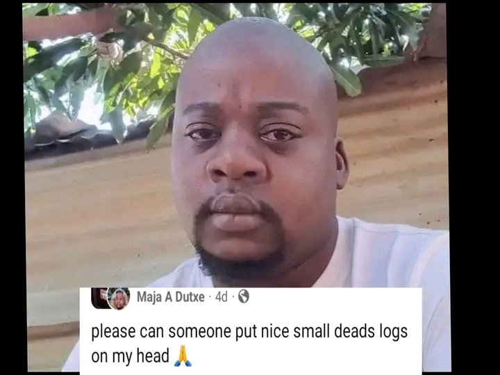olonite_s's tweet photo. Maja requested for the help of Photo editors to put dead logs on his head instead of dreadlocks, and see the results😜👇.

I hope he's not angry. Even chatgpt would do same if you don't write your prompt well.. https://t.co/C53fBxWwoO