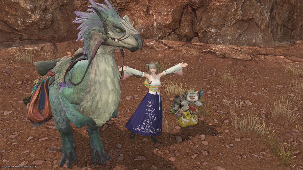 🀦🀧 西川舞🀨🀩 tweet media